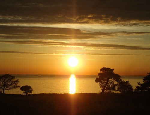 Solnedgang ved Vang
